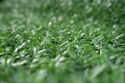 Plasă Gard Viu Ornamentală Verde cu frunze artificiale 2x10m
